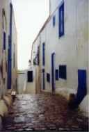 The Blue Village/Tunisia